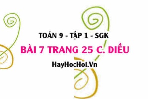 Bài 7 trang 25 Toán 9 tập 1 Cánh Diều